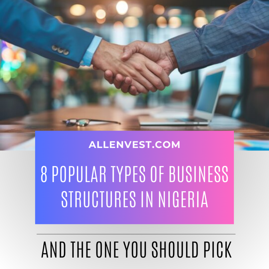 8 Popular Types of Business Structures in Nigeria - And The One You Should Pick