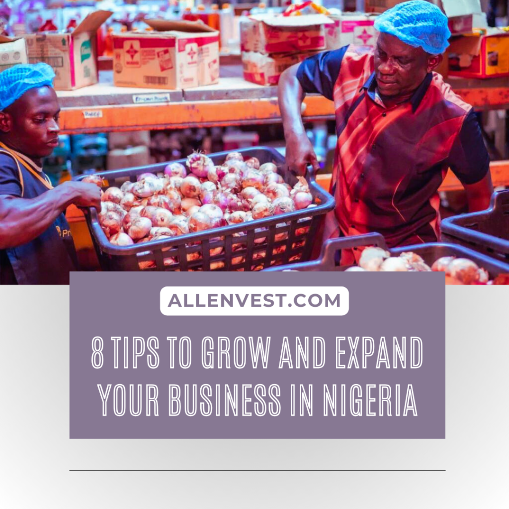 8 Tips to Grow and Expand Your Business in Nigeria 2024