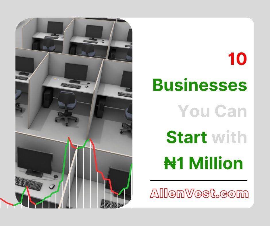 This guide will show you the best businesses to start with 1 million naira in Nigeria and how to make them succeed.Below are some of the most profitable 1 million business ideas.