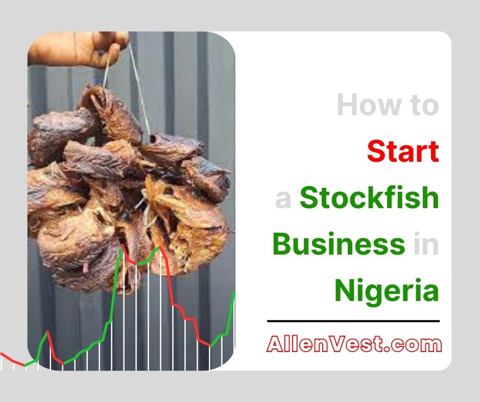 If you have been thinking about how to start a stockfish business in Nigeria, you are looking at one of the most profitable food businesses in the country. In this guide, you will learn everything you need to start. How to choose the right type of stockfish, finding reliable suppliers, setting your prices, storing your goods properly, and attracting customers who buy in bulk.