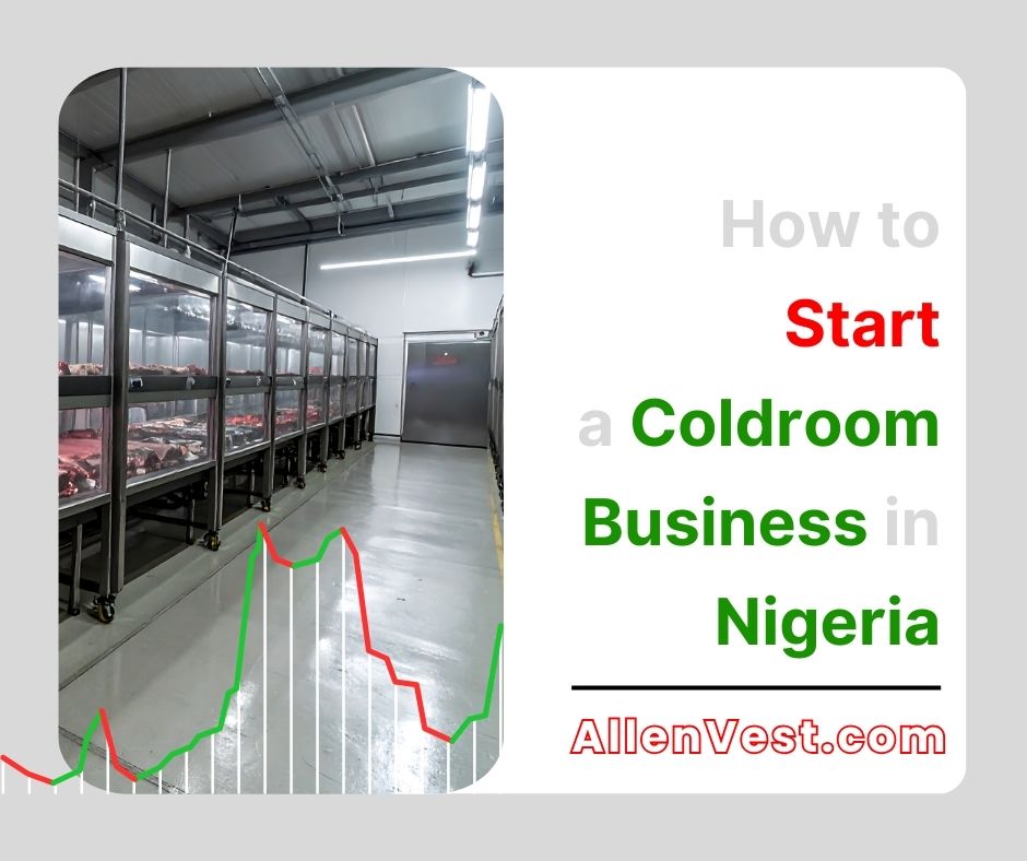 If you have been thinking about how to start a coldroom business in Nigeria, you are looking at one of the most practical and high-demand businesses in the country. Every day, people buy frozen foods like chicken, turkey, fish, and meat for their homes, restaurants, hotels, and food sellers. Because these items must stay frozen, coldrooms are always needed, no matter the season.