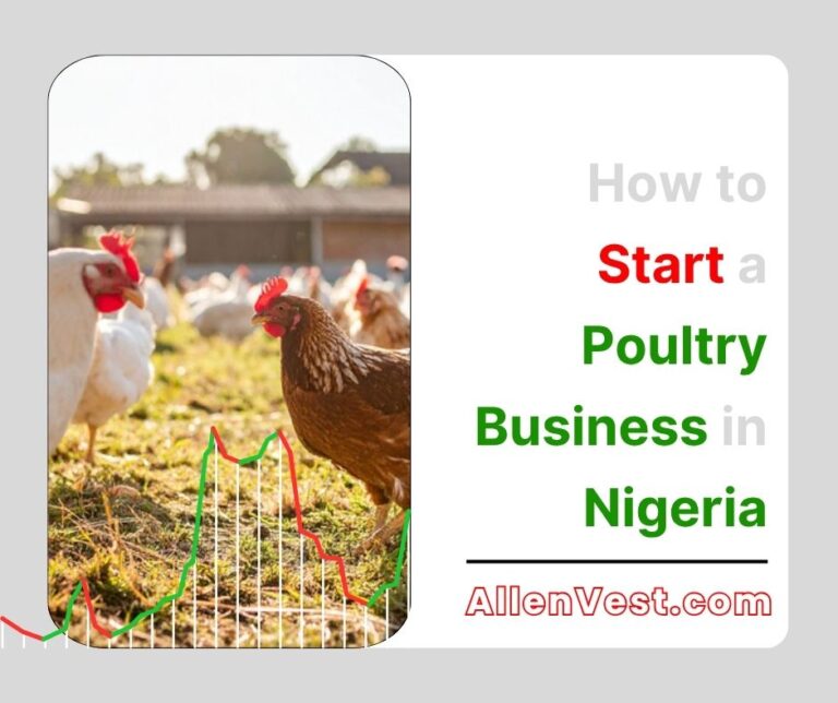 How to Start a Food Business in Nigeria (Ultimate Guide for 2025 ...